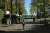 071028_mega1.JPG