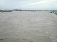 070907_tama1.JPG