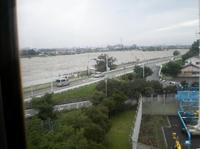 070907_tama2.JPG