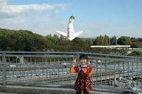 071104_banpaku1.JPG