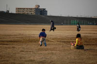 080211mega_taiya1.JPG