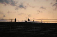 080211mega7_yuuhi.JPG