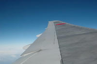 101227_tubasa.JPG