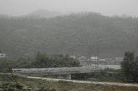 101227_yuki2.JPG