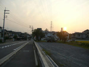 P1100227.jpg