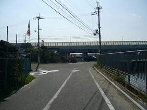 P1100236.jpg
