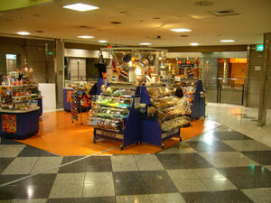 P1100240.jpg