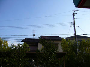 P1100242.jpg