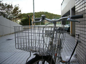 P1100264.jpg