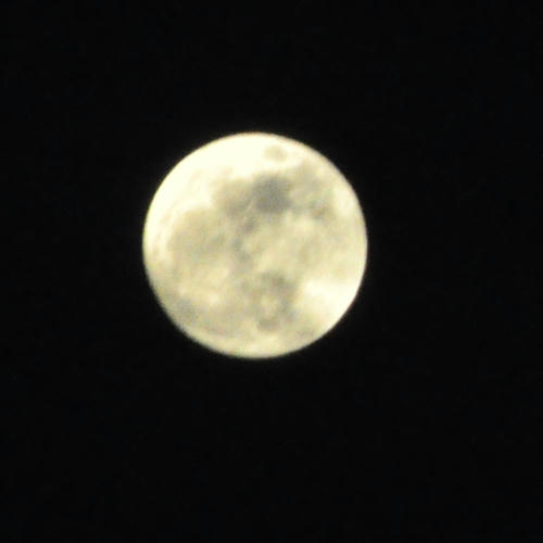 DSC_3358_s.JPG