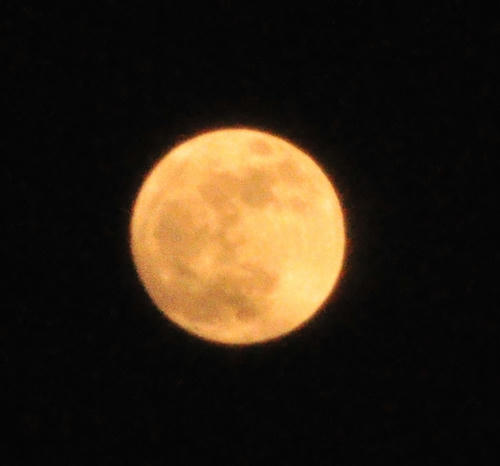 DSC_3362_s.JPG