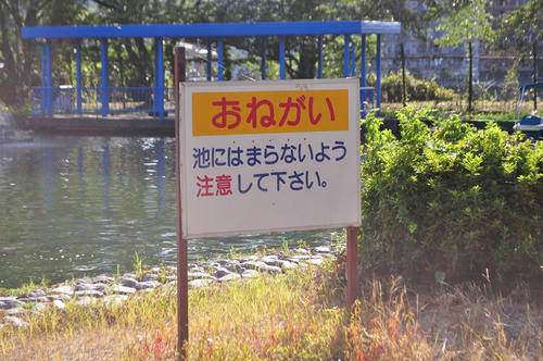DSC_6452_s.JPG
