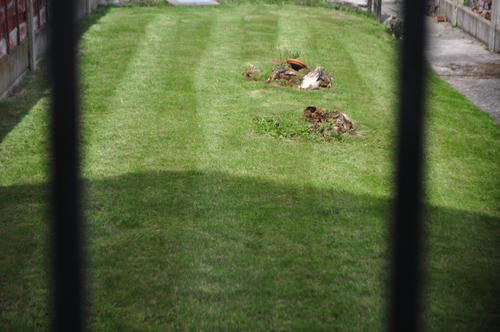 DSC_8339_s.JPG