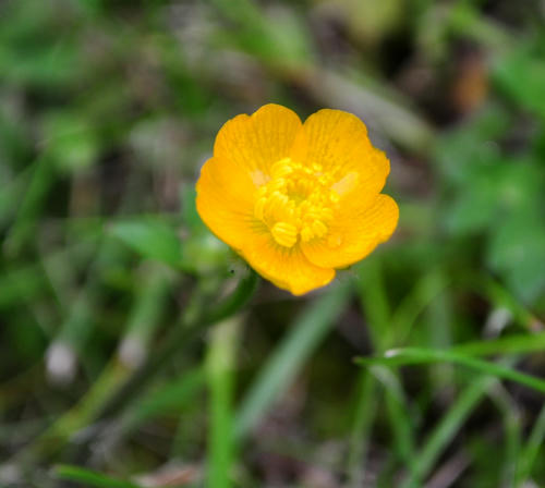 DSC_8169_s.JPG