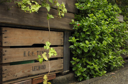 そこにあるもの