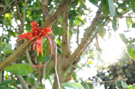 あなたへ・・・