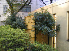 恵比寿東公園トイレ