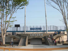 昭和公園　市営昭島球場
