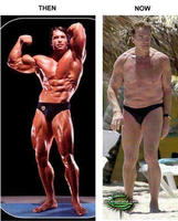 arnold_schwarzenegger_fat1.jpg