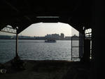 P1000124.jpg