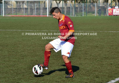 Massimo Sammartino