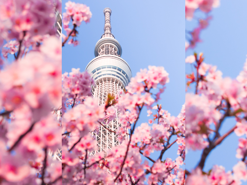 東京スカイツリー
