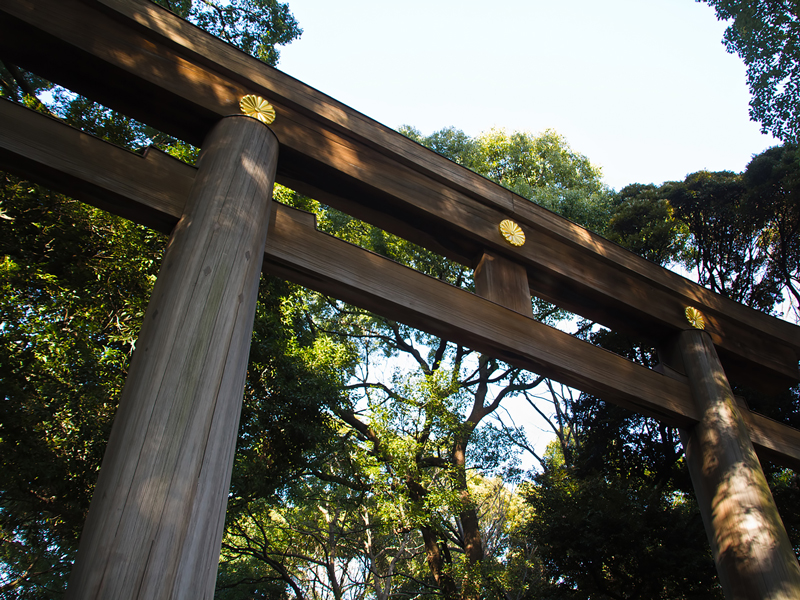 明治神宮の鳥居