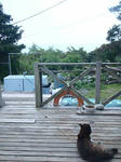 20090419.jpg