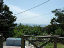 20090422.jpg