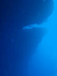 水はわりかし綺麗です。