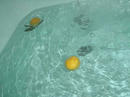 20091222_2.jpg
