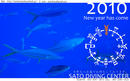 2010 Happy New Year!!!