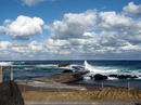 20100108_2.jpg