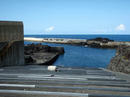 朝の八重根