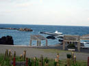 朝の底土