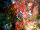 20100917_3.jpg