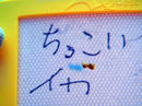 ちっこいイカもおりました