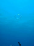 入れば夏の海ですよ