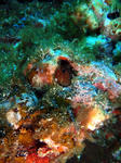 20111013_5.jpg