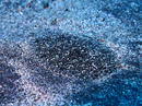 20111025_7.jpg