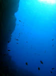 沖は蒼くて気持ち良い