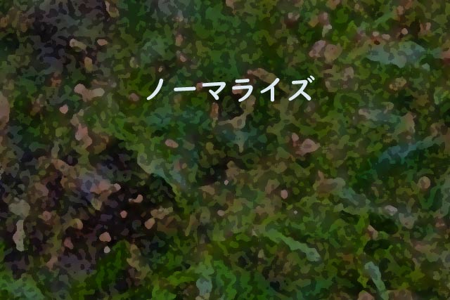 ノーマライズ