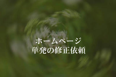 単発の修正依頼