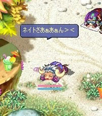 screenshot0161.jpg