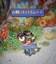 screenshot0164.jpg