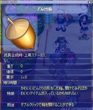 どんぐりり