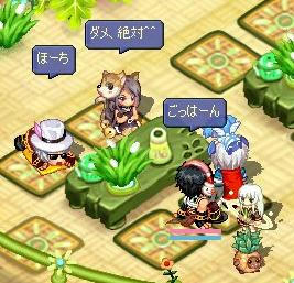 ダメ、絶対。何が？