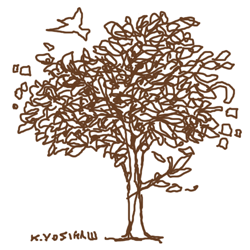 080626.gif