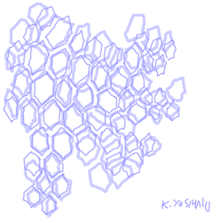 070807.gif