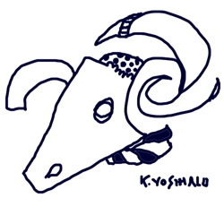 080503.gif